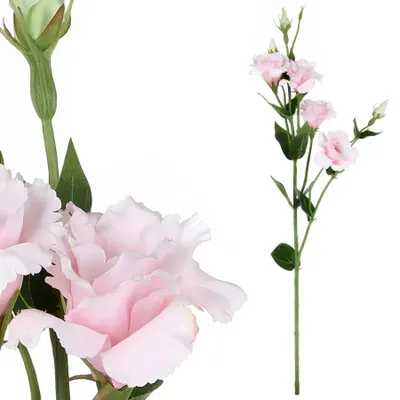 Obrázek produktu pro Autronic Eustoma růžová KT7909 PINK