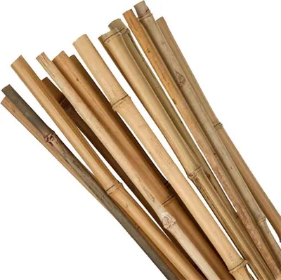 Produktbild von PROREGAL Pflanzstab KBT 0750/06-08mm, 10 Stück, Bambus