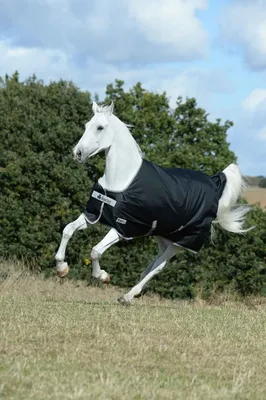 Image de Bucas Couverture de pluie 0g Anniversary Turnout Light Black/Silver 115