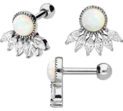 Produktbild von Ohrpiercing Chirurgenstahl Ohrpiercing 6 EINGEFASSTE KRISTALLE + SYNTHETISCHER OPAL