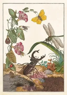 Produktbild von Karnet ST542 B6 + Insektenschutzmittel
