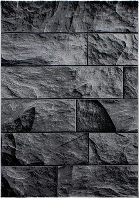 Obrázok produktu pre 160x230 cm Kusový koberec Parma 9250 black