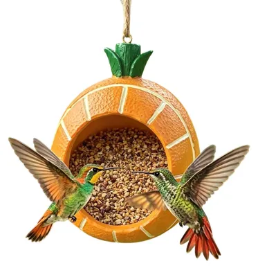 Productafbeelding van Fruitvormig Vogelvoederstation voor Buitengebruik