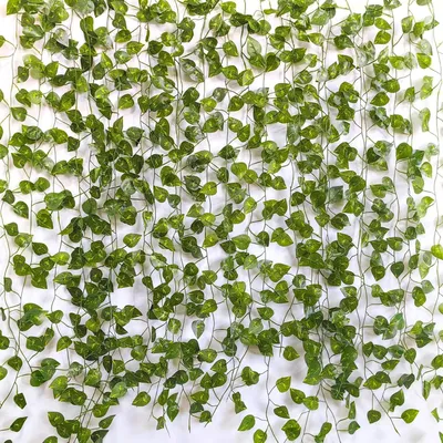 Image de Guirlande de lierre artificiel, 12 pièces, guirlande de lierre verte avec attaches en nylon, feuilles de lierre artificielles pour la chambre à coucher, décoration esthétique, maison, jardin, mur, mariage