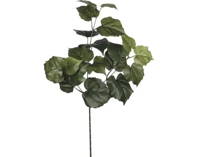 Produktbild von Mica künstlicher Baumwollzweig grün 58 cm