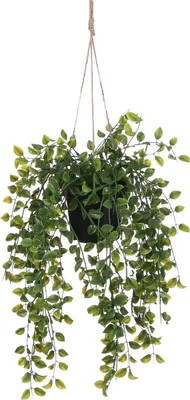 Image de Mica Decorations Ficus plante artificielle suspendue en pot - H46 x Ø10 cm - Vert