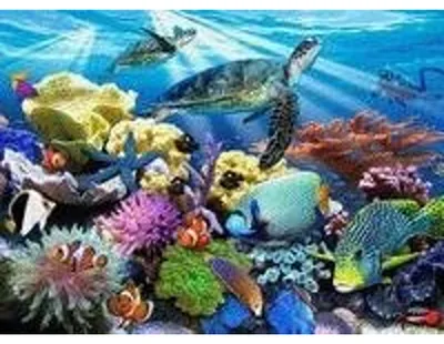 Zdjęcie produktu dla RAVENSBURGER Puzzle Ocean Life XXL 200 Teile