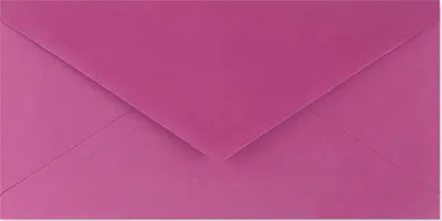 Immagine prodotto di Buste Bishop 120g/m2 DL a colori 10 pz. n. 5