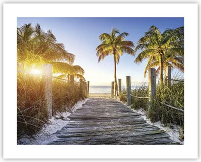 Produktbild von Poster - Poster ohne Rahmen - Strand Palmen Fußgängerbrücke - 50x40 cm - Wand Bild - Wanddeko - Wandbilder - Kunstposter - Wandposter - Bilder - Kunstdruck - Wandbild - P2XAA50x40-4171