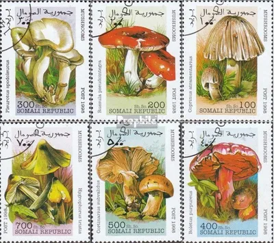 Produktbild von Briefmarken Somali Republic 1998 Mi 1998PA-1998PF die Legalität dieser Ausg. ist ungeklärt gestempelt Pilze