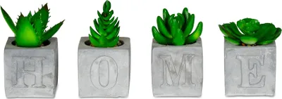Produktbild von levandeo 4er Set Sukkulenten Im Betontopf Je 5x9cm Home Beton Kunstpflanze Grün