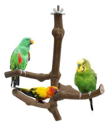 Productafbeelding van Vogelzitstokjes, natuurlijke wijnrankenhout, 5 stuks, geschikt voor kleine en middelgrote vogels