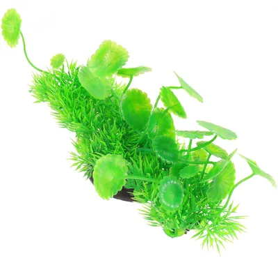 Produktbild von Kunststoffpflanze für Aquarien, zur Dekoration
