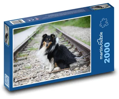 Obrázok produktu pre martinpuzzle – Puzzle 2000 – Šetlandský ovciak