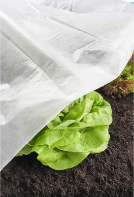 Produktbild von Wintervlies Pflanzenschutz