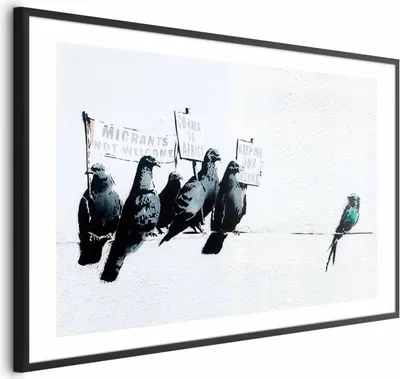 Produktbild von Posterpapier Poster - Xenophobic Pigeons 42x29.7 cm Streetart g-C-0145-ao-a