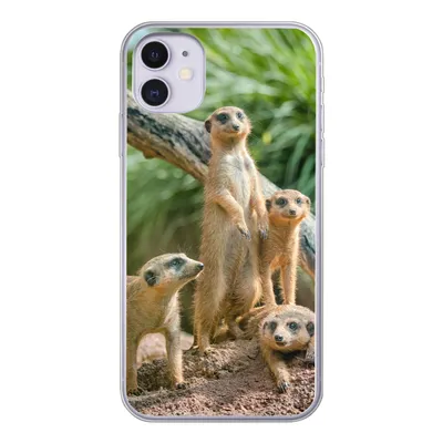 Produktbild von MuchoWow® Handyhülle Schutzhülle Hülle für iPhone 11 Familie - Tiere - Erdmännchen Silikon Softcase Handy Hülle - Handytasche