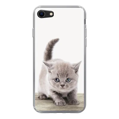 Produktbild von MuchoWow® Handyhülle Schutzhülle Hülle für iPhone 8 Kätzchen - Katze - Haustiere - Jungen - Kinder - Mädchen Silikon Softcase Handy Hülle - Schutzhaube