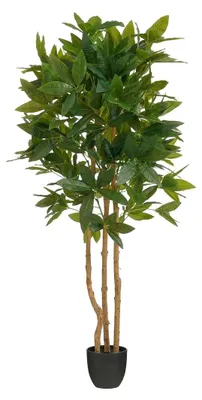 Produktbild von Mica Decorations Fatsia Kunstpflanze im Blumentopf - H150 x Ø70 cm - Grün