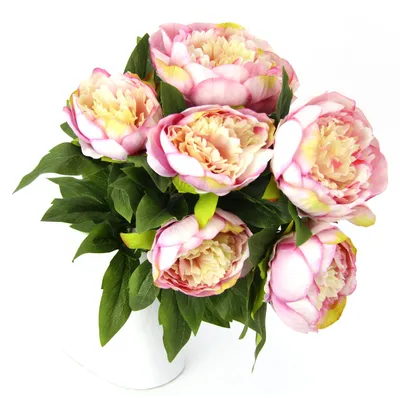 Künstlicher Pfingstrosenstrauch, 7 Blüten, weiß/rosa, 46 cm