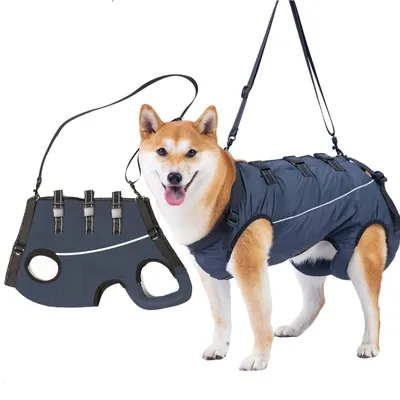 Imagen del producto de Arnés cómodo para perros mayores
