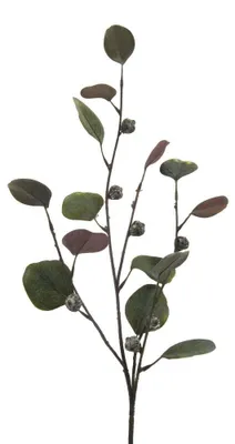 Produktbild von Kunstpflanze EUKALYPTUSZWEIG 73cm. Eucalyptus GRÜN