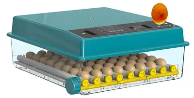 Imagen del producto de Incubadora de huevos, capacidad para 36 huevos, control automático de temperatura, modelo de doble alimentación para 64 huevos