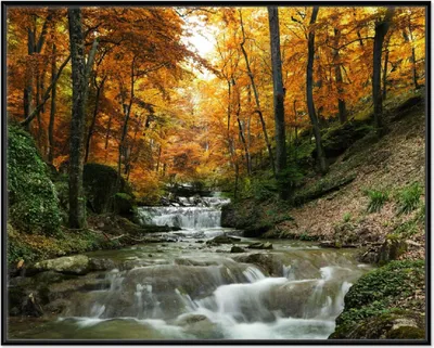 Produktbild von Wallario Wandbild Kleiner Bach über Steine im Herbstwald, Größe: 40,30 x 50,30 cm, Poster mit schwarzem Aluminiumrahmen