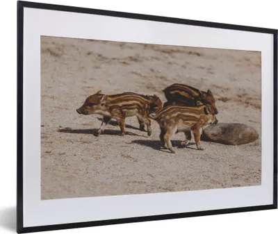 Produktbild von MuchoWow® MuchoWow® Gerahmtes Poster Baby - Wildschweine - Wild 60x40 cm - Poster mit zchwarzem Bilderrahmen - Schlafzimmer - Plakat in Rahmen - Drucken