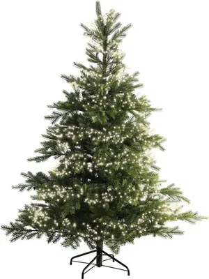 A green Christmas tree with white lights on a white background.