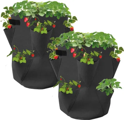 Obrázok produktu pre Sada 2 vriec na jahody - každé 45 x 35 cm / 45 litrov - vrece na rastliny