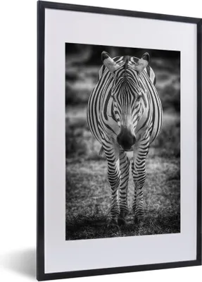Produktbild von MuchoWow® Gerahmtes Poster Zebra im Gras 40x60 cm - Poster mit Schwarzem Bilderrahmen Wandposter Rahmen Foto Bilder - Poster in Rahmen