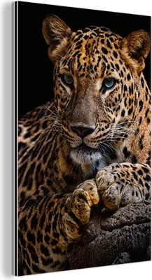 Produktbild von MuchoWow Wanddekoration Metall Metallbild Wandkunst 80x120 cm Wildtiere - Panther - Porträt - Schwarz - Tiere MuchoWow Aluminium Gemälde - Bilder