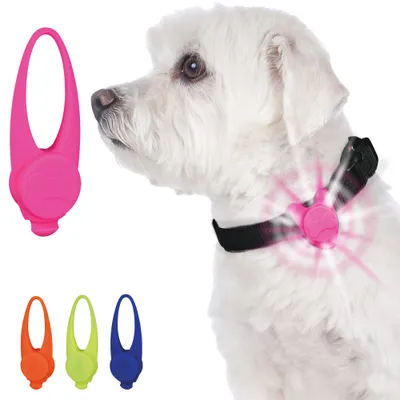 Immagine prodotto di Lampada per cani ø 2,4 × 8 cm assortita