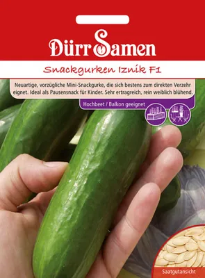 Produktbild von Dürr-Samen - Snackgurke Iznik F1 - Saatgut - 1115