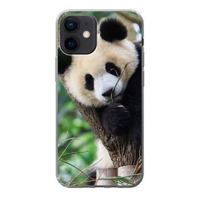 Produktbild von MuchoWow® Handyhülle Schutzhülle Hülle für iPhone 12 Panda - Tiere - Dschungel - Natur Silikon Softcase Handy Hülle - Schutzhülle