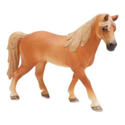 Immagine prodotto di Tennessee Walker Stute