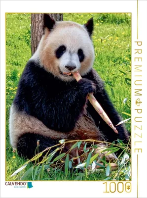 Zdjęcie produktu dla Calvendo 4059478984967, 1000 szt., Animals, 14 lat(a)