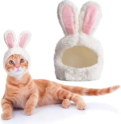 Produktbild von Hasenkostüm für Katzen und Hunde, Größe einstellbar, Osterkostüm