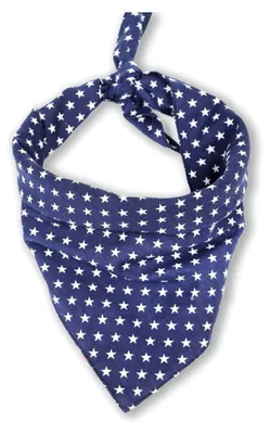 Produktbild von Hundehalstuch blau mit Sternen