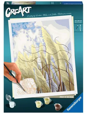 Obrázok produktu pre Ravensburger 23611, Obrazy v balení, Chlapec / dievča, Súprava farieb s číslami