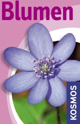 Produktbild von Blumen