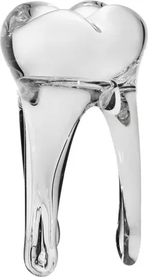 Produktbild von Glaszahn Trophäe 14cm transparent