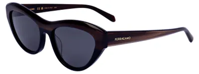 Produktbild von Ferragamo SF1103S Striped brown/black 55/17/140 Damen Sonnenbrillen