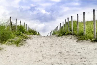 Produktbild von Wallario Poster - Auf dem Weg zum Strand durch Dünen, Kunstdruck Größe: 61 x 91,50 cm