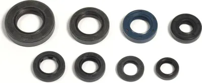 Obrázek produktu pro Sada těsnění motoru Athena P400210400082