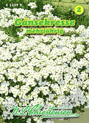 Produktbild von Gänsekresse | Kerbelsamen von N.L. Chrestensen