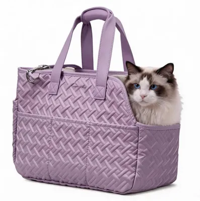 Hundetasche für kleine Hunde bis 6 kg, leicht, 40x20x30 cm