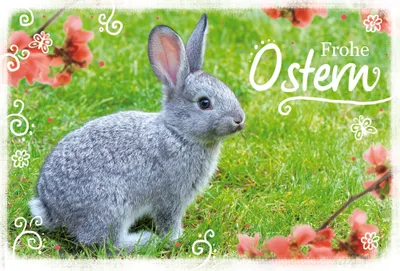 Produktbild von Ostern - Glückwunschkarte im Format 11,5 x 17 cm mit Briefumschlag
