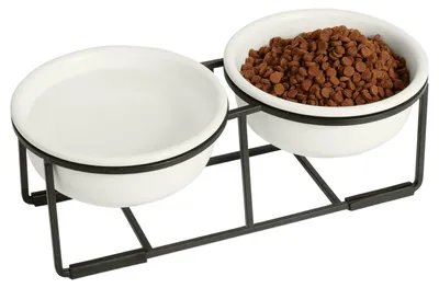Obrázek produktu pro Vyvýšená miska pro psy - Keramická miska pro psy - Protiskluzová základna - Dvě misky - 2 x 400 ml - Ergonomický design - Miska pro psy